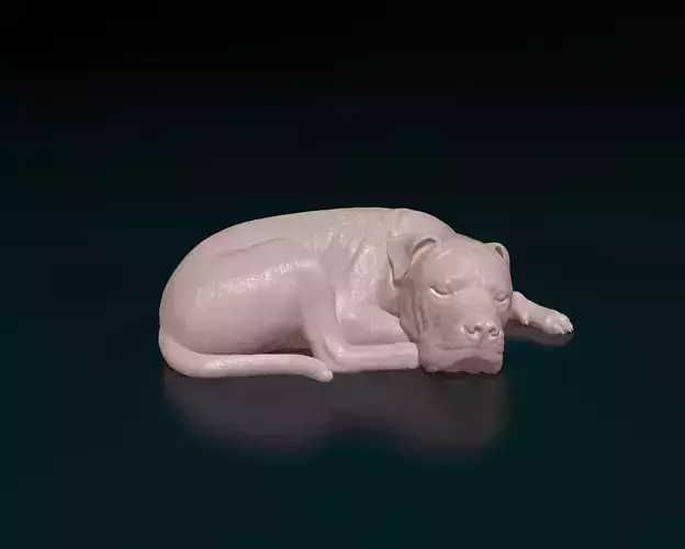 American Pitbull 011 3D print model