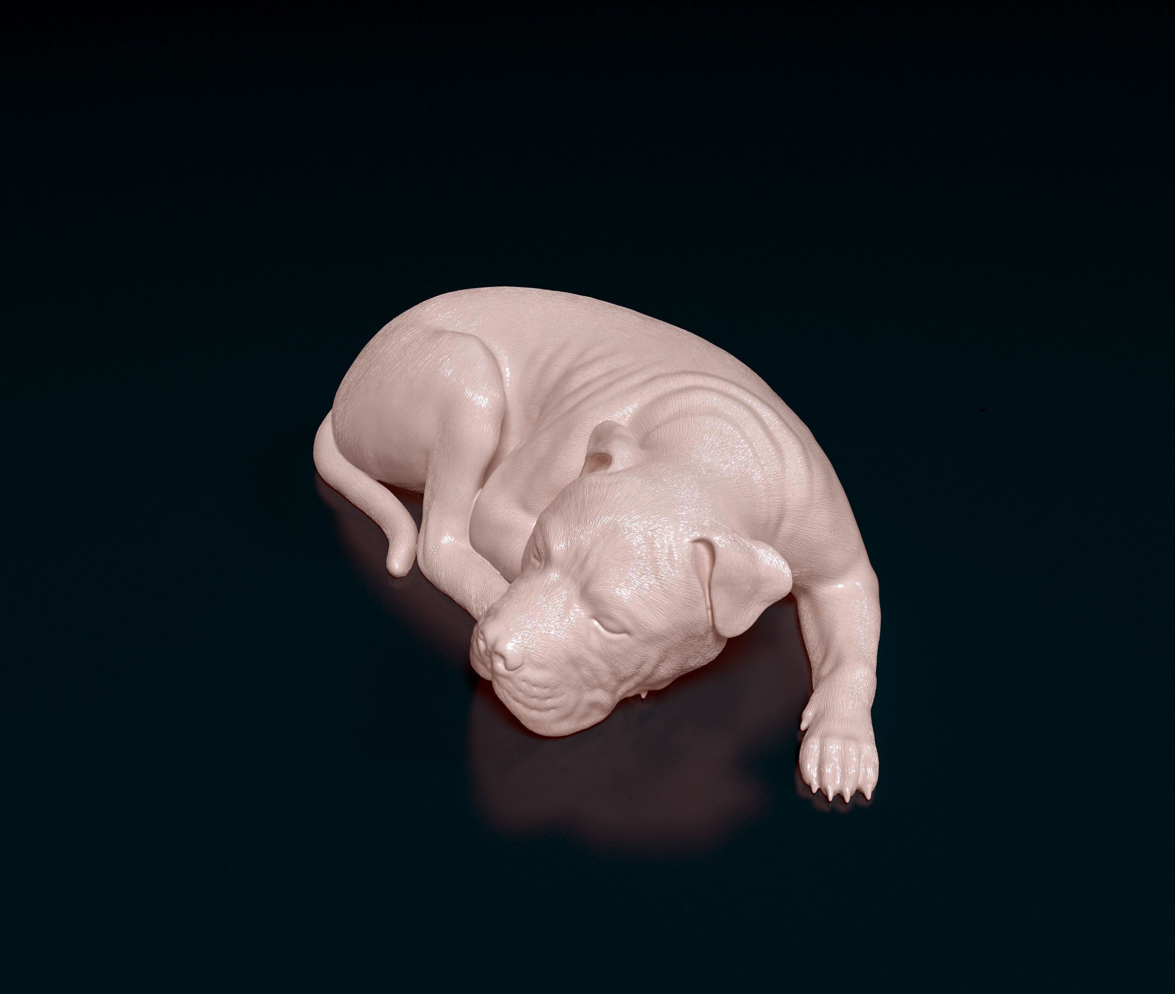 American Pitbull 011 3D print model_5