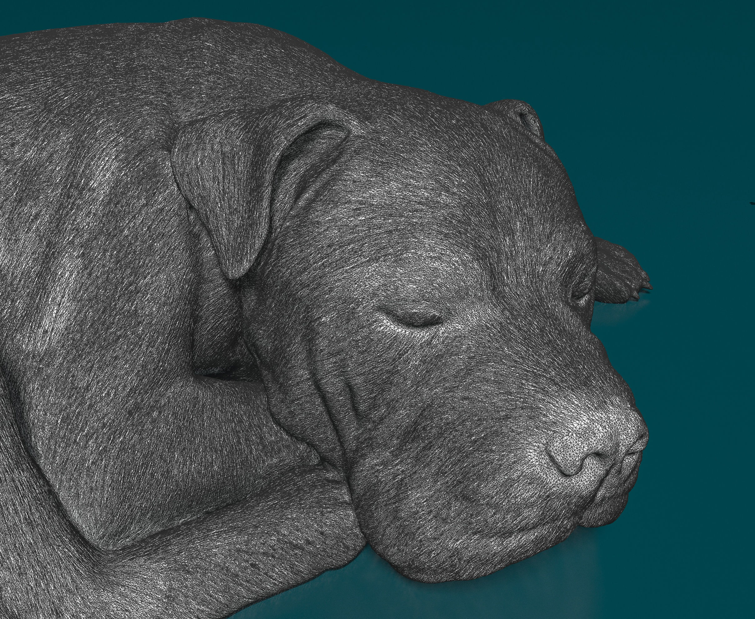 American Pitbull 011 3D print model_7