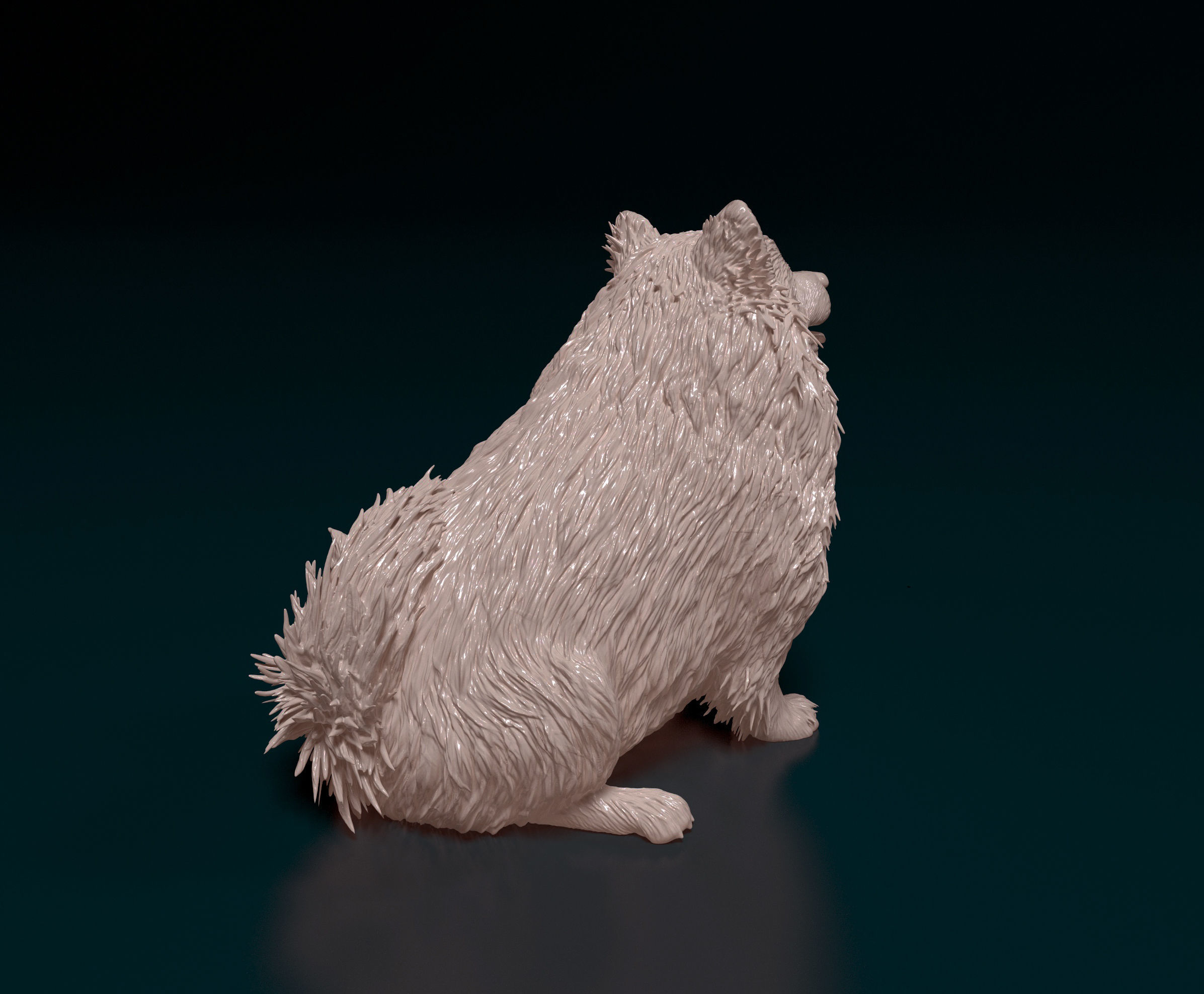 Japanese Spitz  3D print model_2