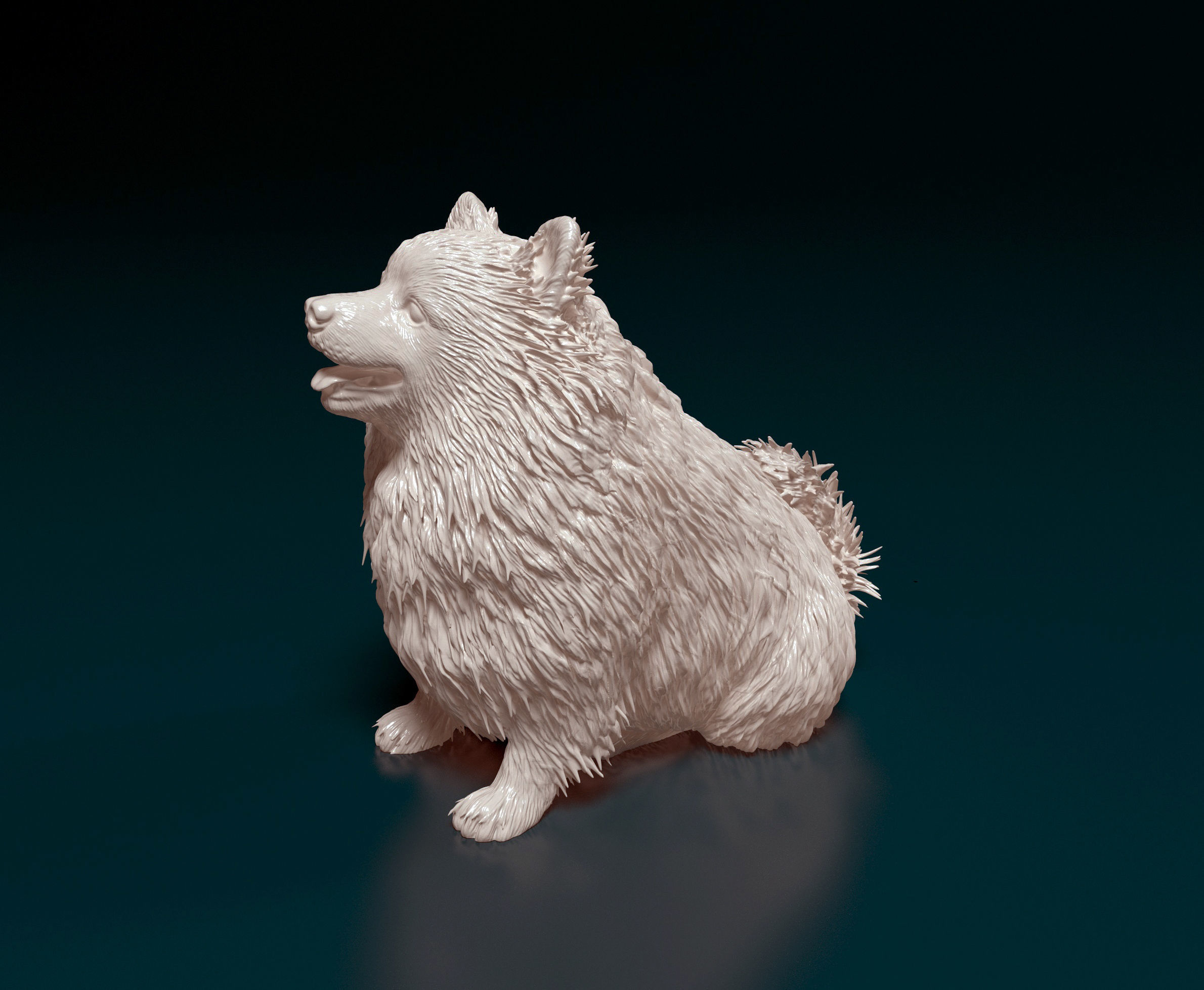 Japanese Spitz  3D print model_5