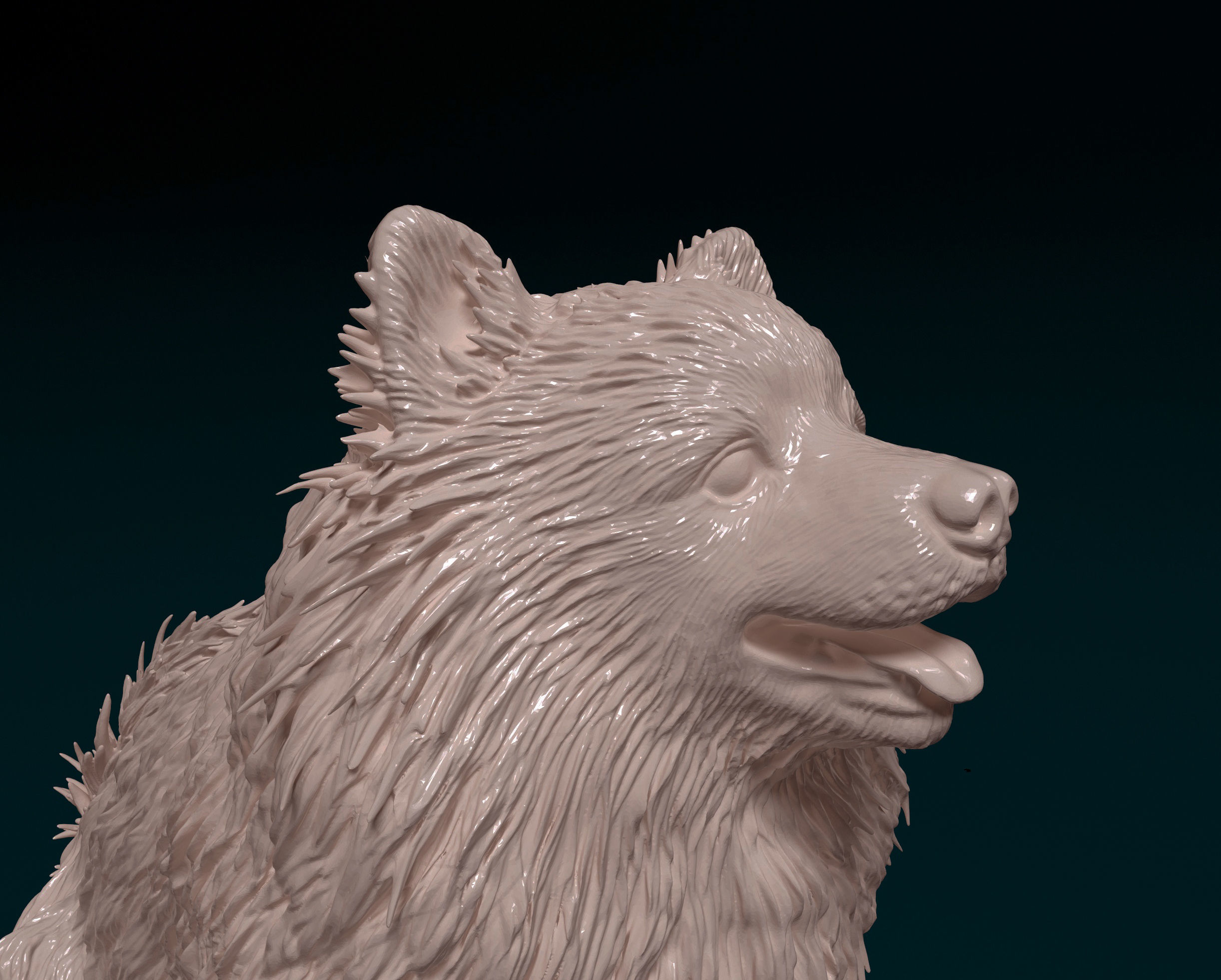 Japanese Spitz  3D print model_7