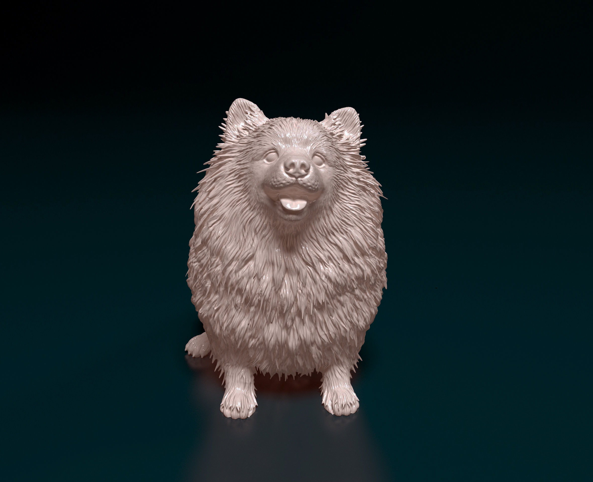 Japanese Spitz  3D print model_6
