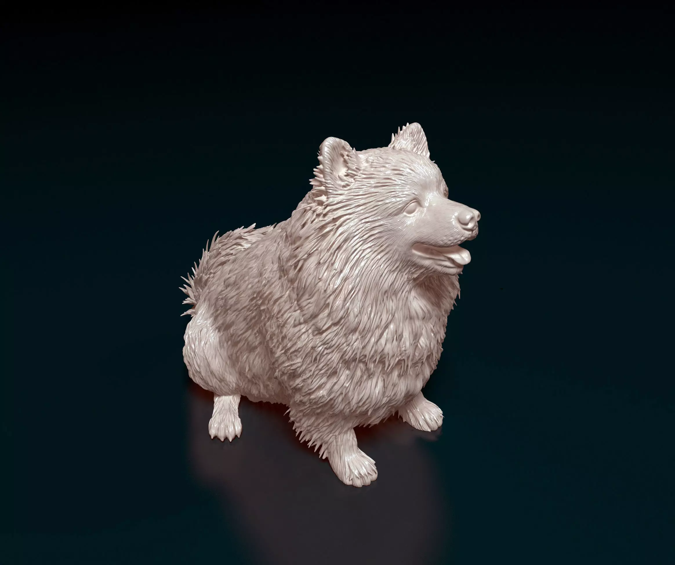 Japanese Spitz  3D print model_0