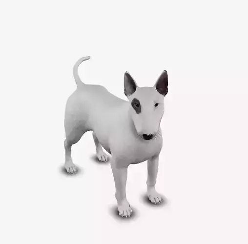 dog bull terrier Low-poly 3D model