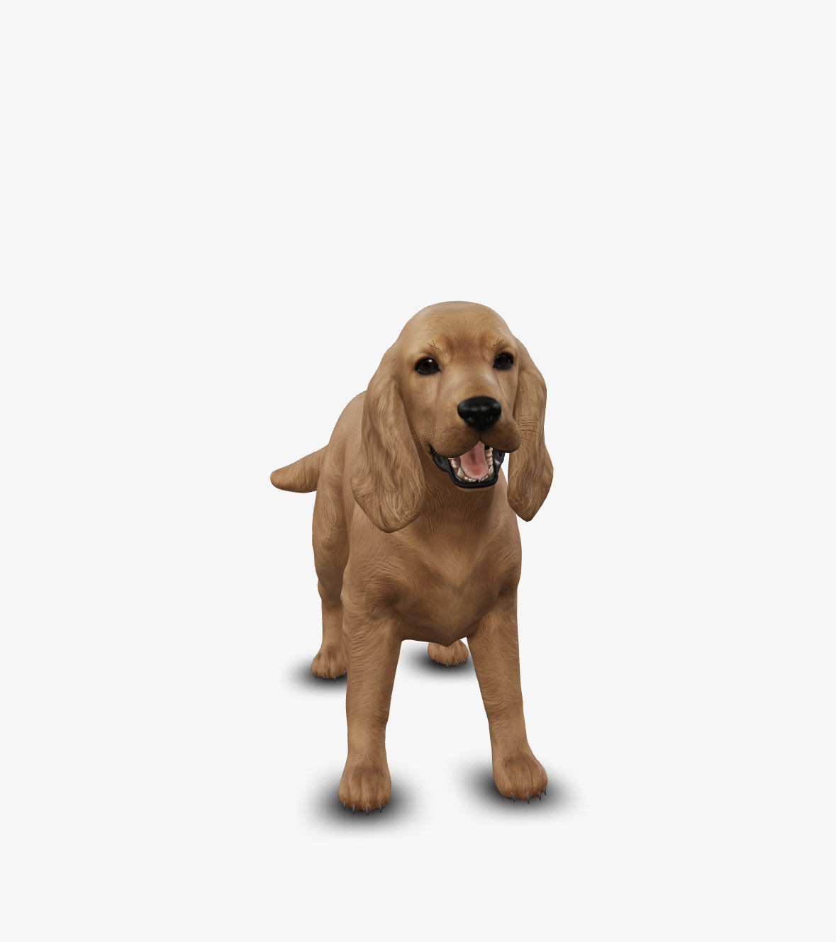 dog cocker spaniel Low-poly 3D model_2