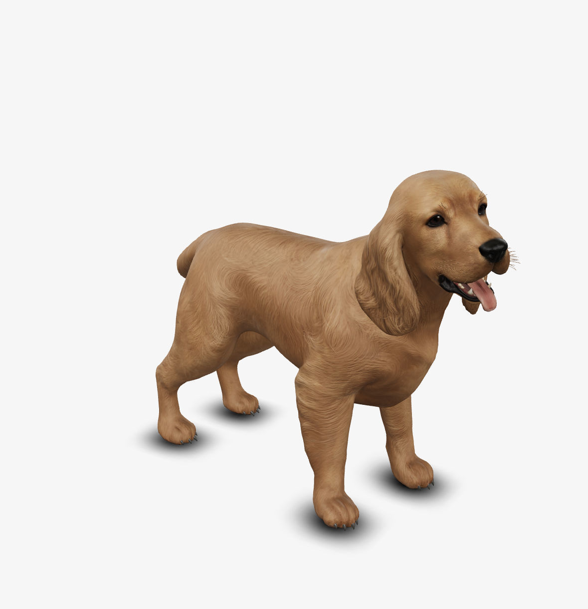 dog cocker spaniel Low-poly 3D model_1