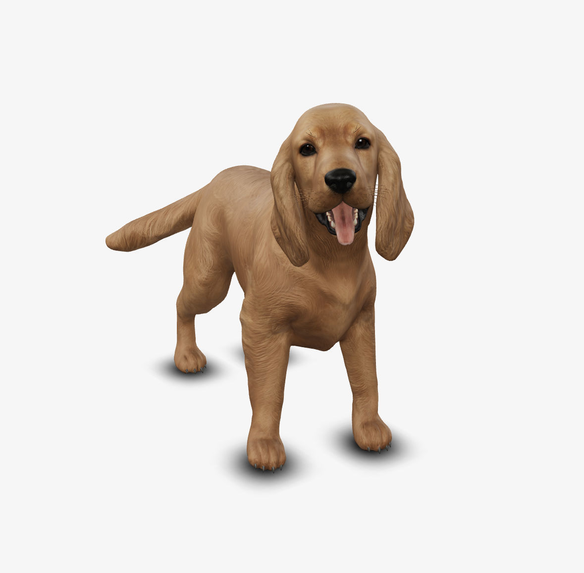 dog cocker spaniel Low-poly 3D model_4