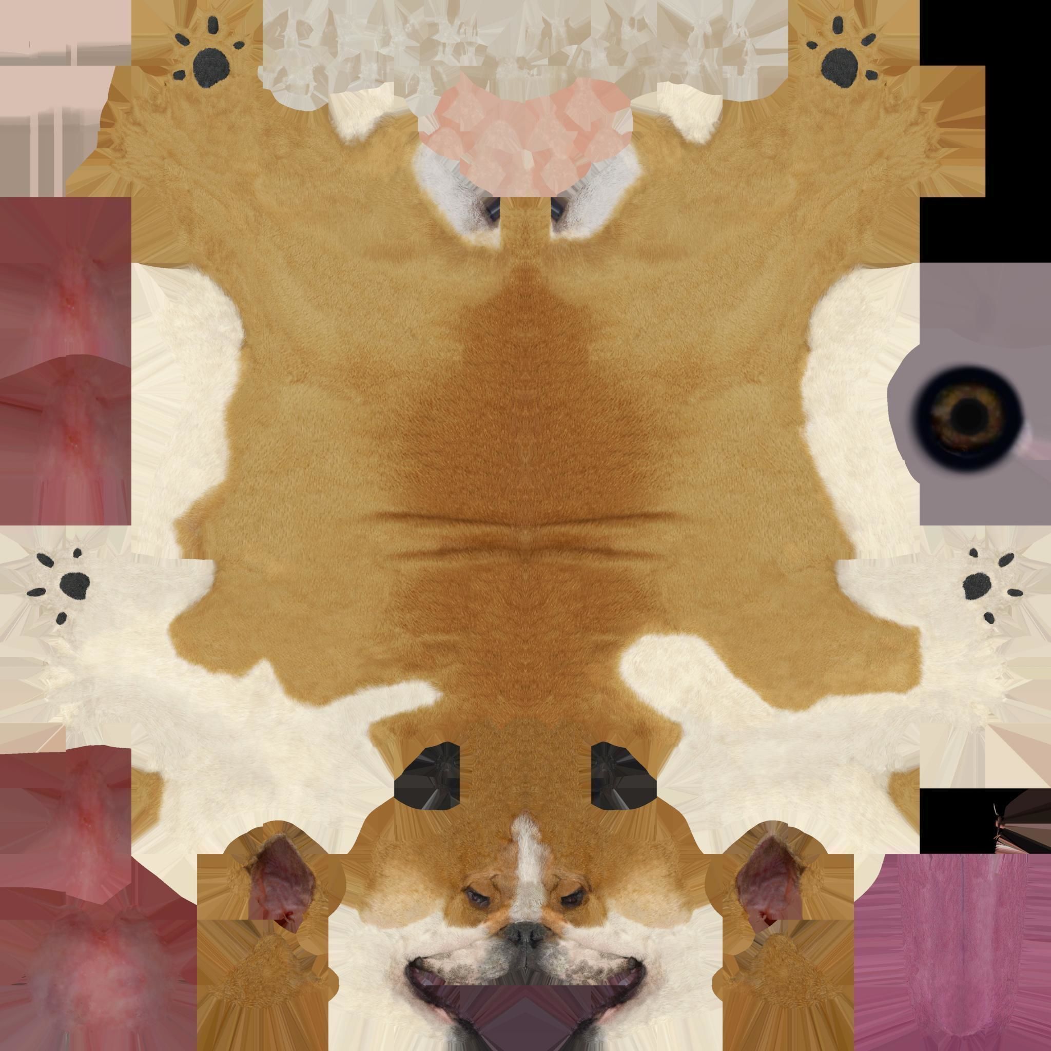 Dog English Bulldog Low-poly 3D model_9