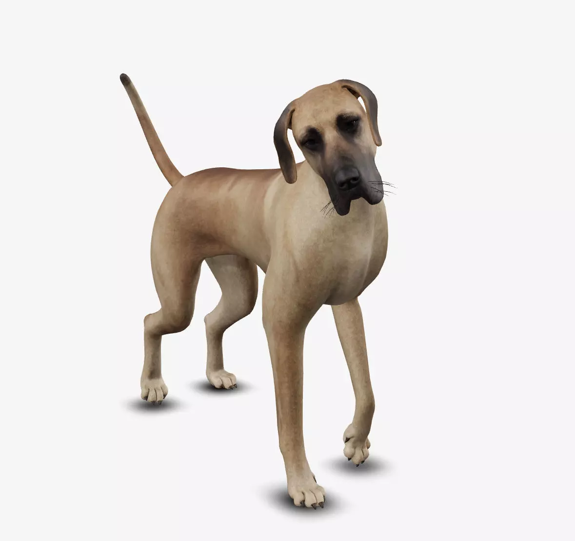 Dog german mastif Low-poly 3D model_0
