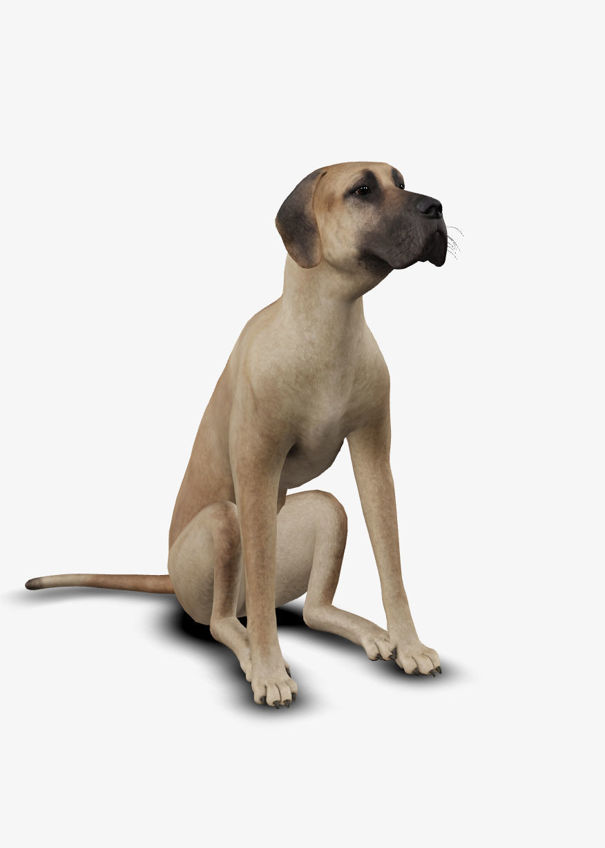 Dog german mastif Low-poly 3D model_2