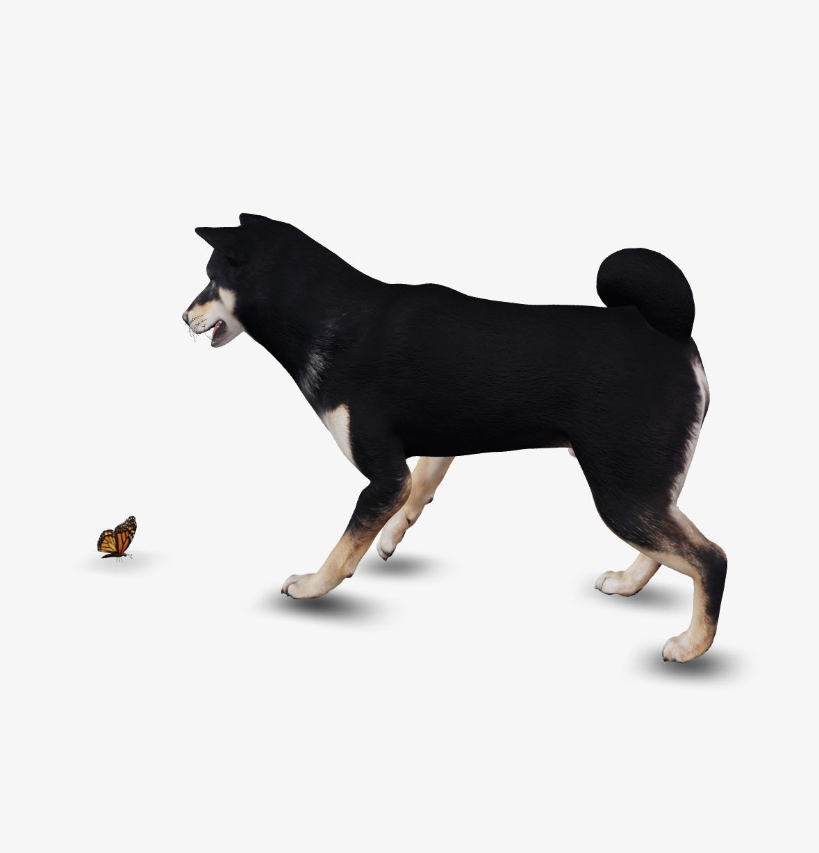 Dog Shiba Inu Low-poly 3D model_2