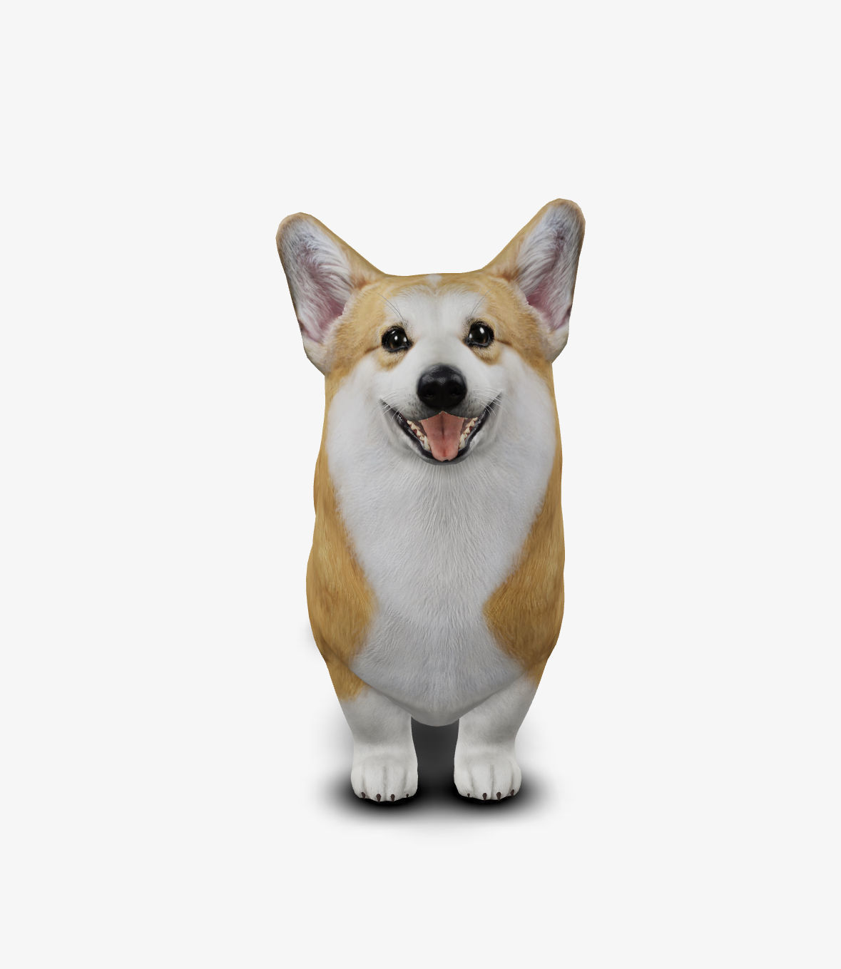 Dog Welsh Corgi Low-poly 3D model_1