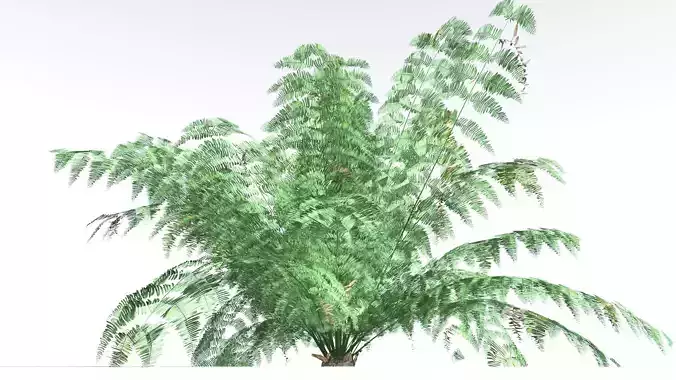 EVERYPlant King Fern LowPoly 4 --14 Models-- Low-poly 3D model