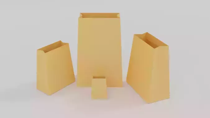 Paper  Bag