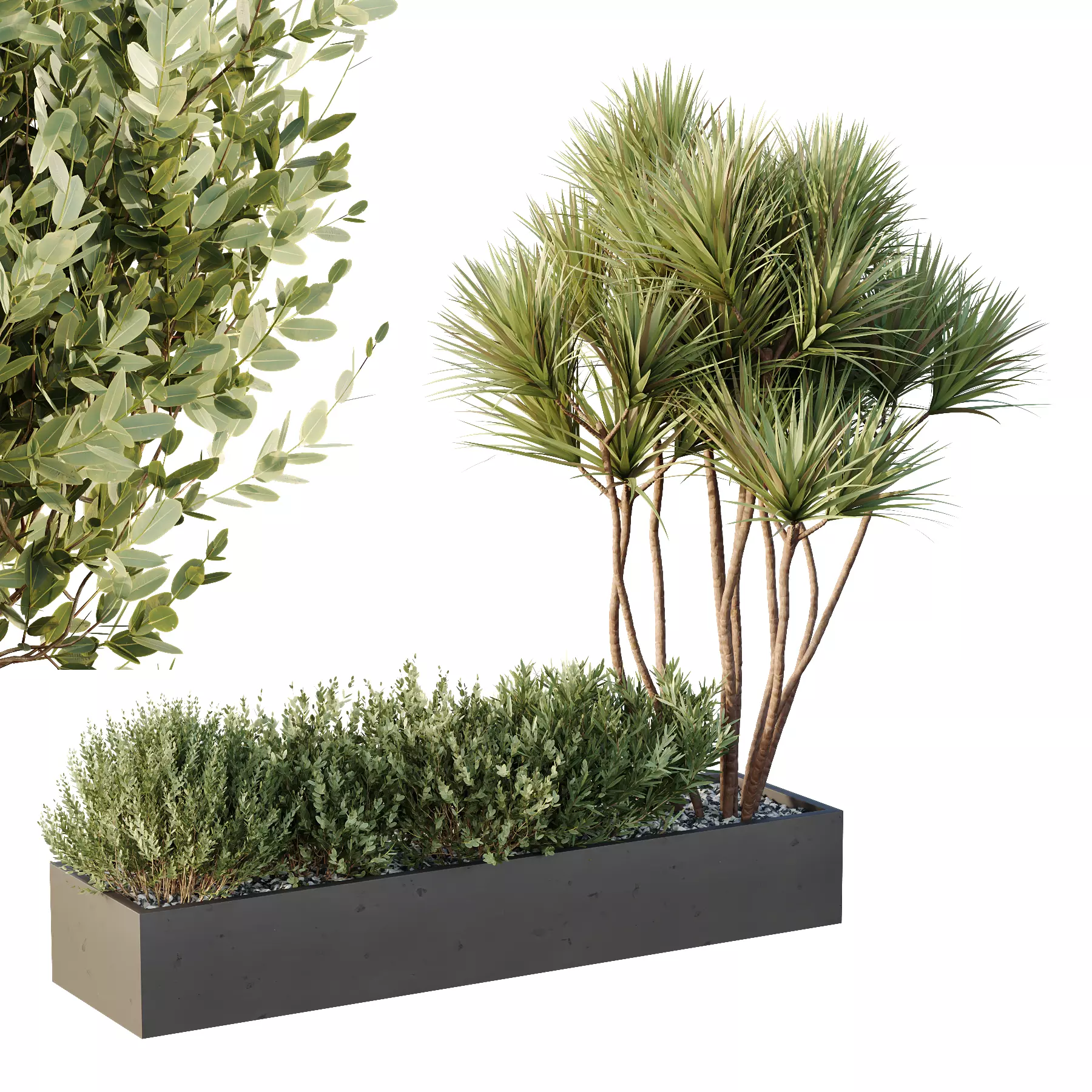 Box Bush Three HQ Tree and bush garden box outdoor VOL 22 3D model | CGTrader