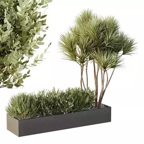 HQ Tree and bush garden box outdoor VOL 22