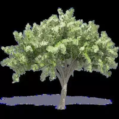 TreeGreen 3D model_0
