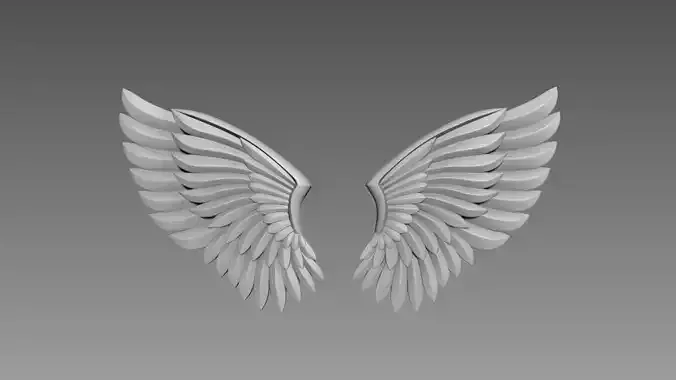 Wings relief