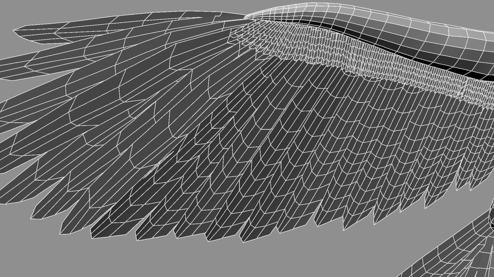 Red breasted toucan 3D model_25