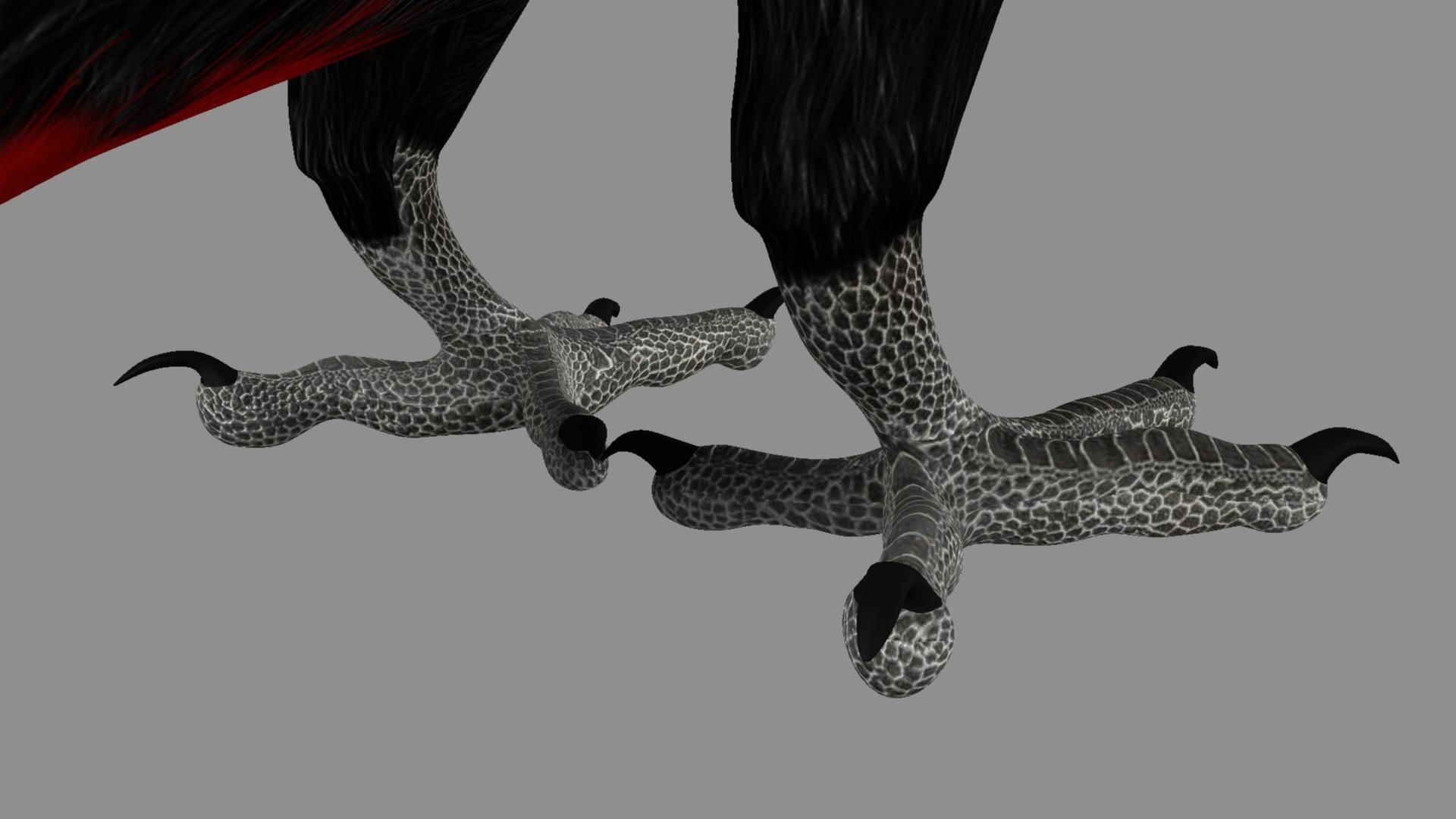 Red breasted toucan 3D model_5