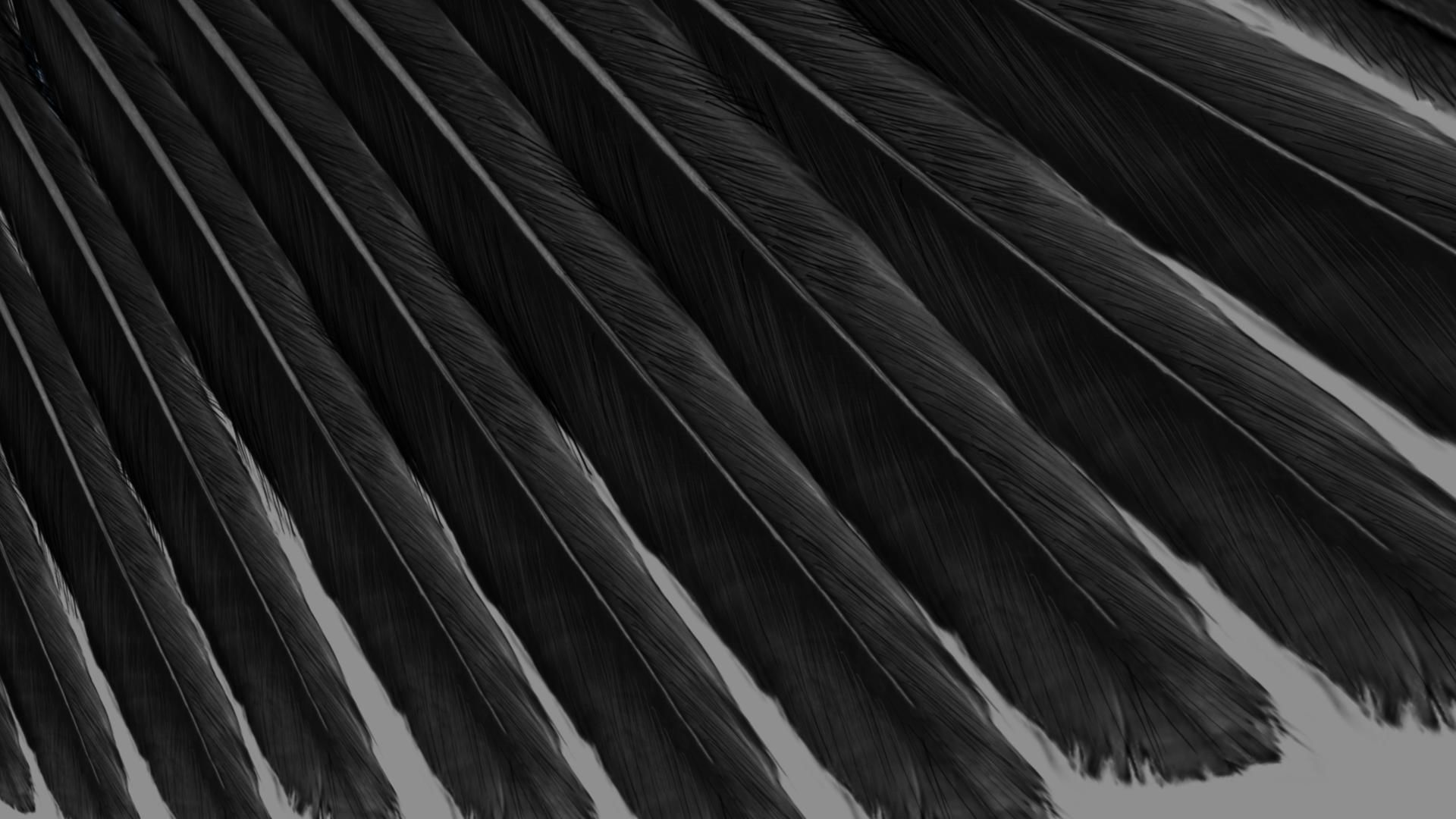 Red breasted toucan 3D model_14