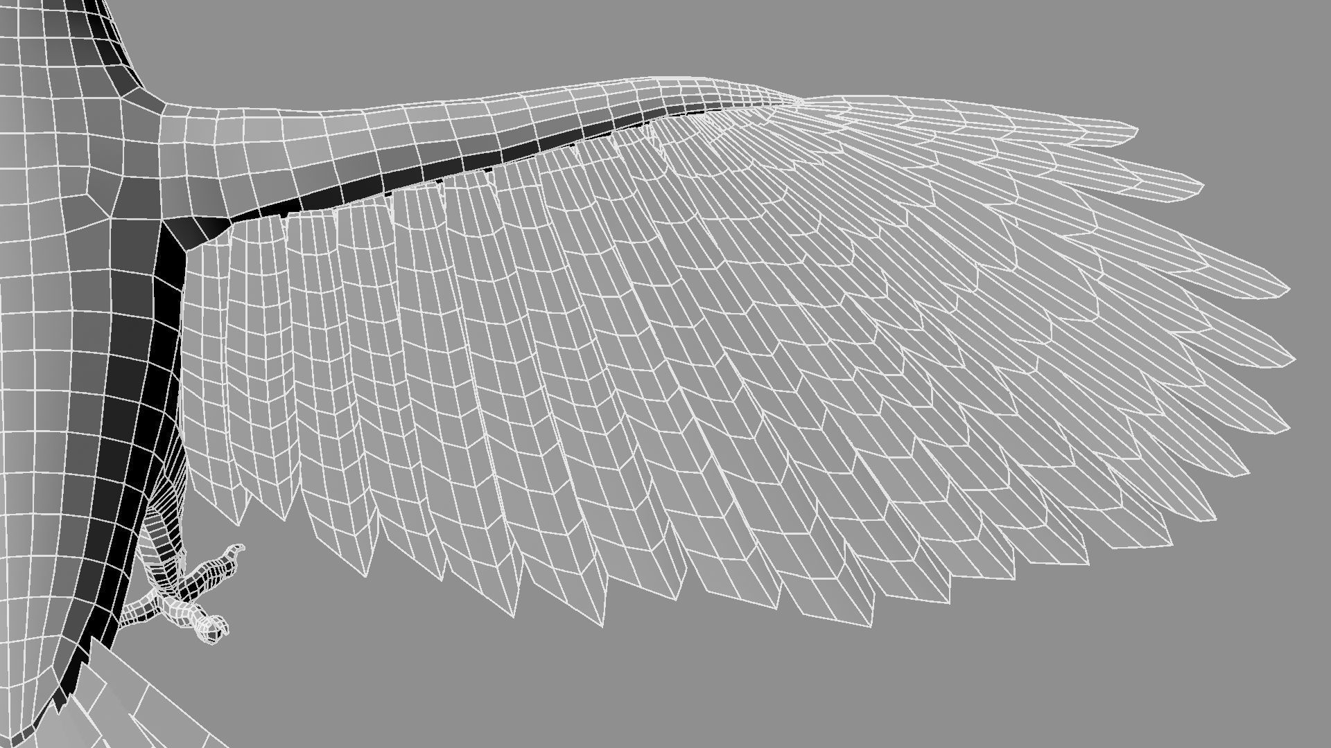 Red breasted toucan 3D model_26