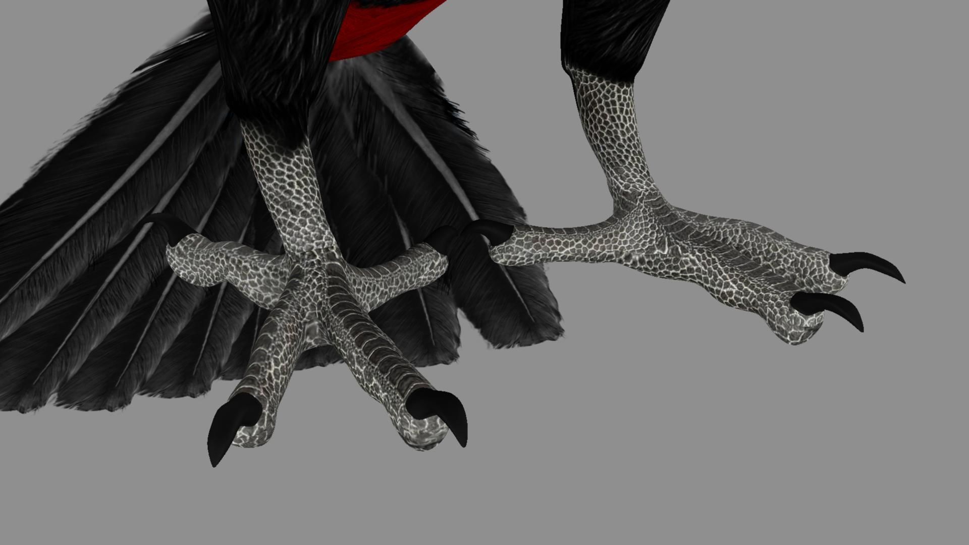 Red breasted toucan 3D model_3