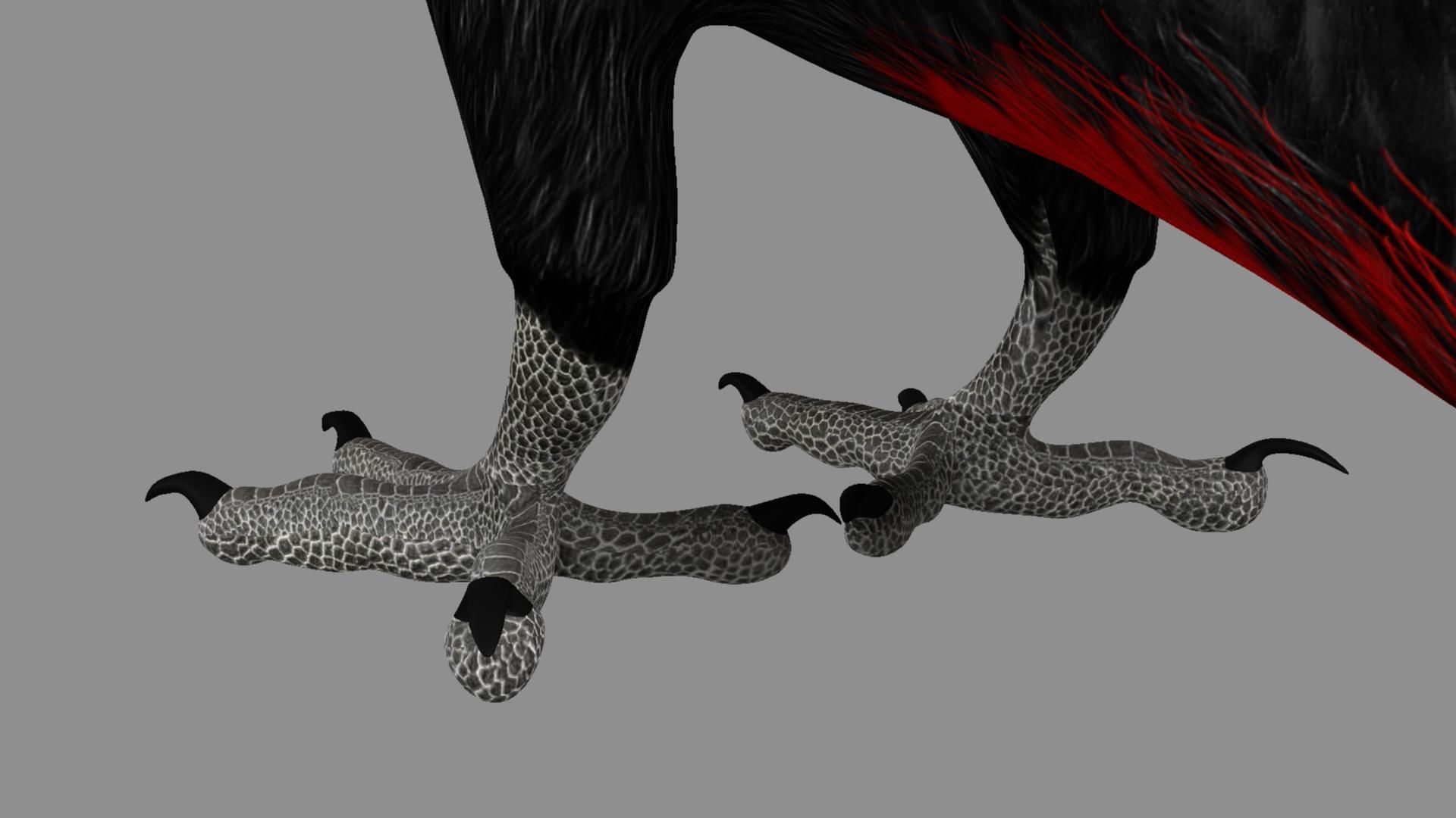 Red breasted toucan 3D model_4