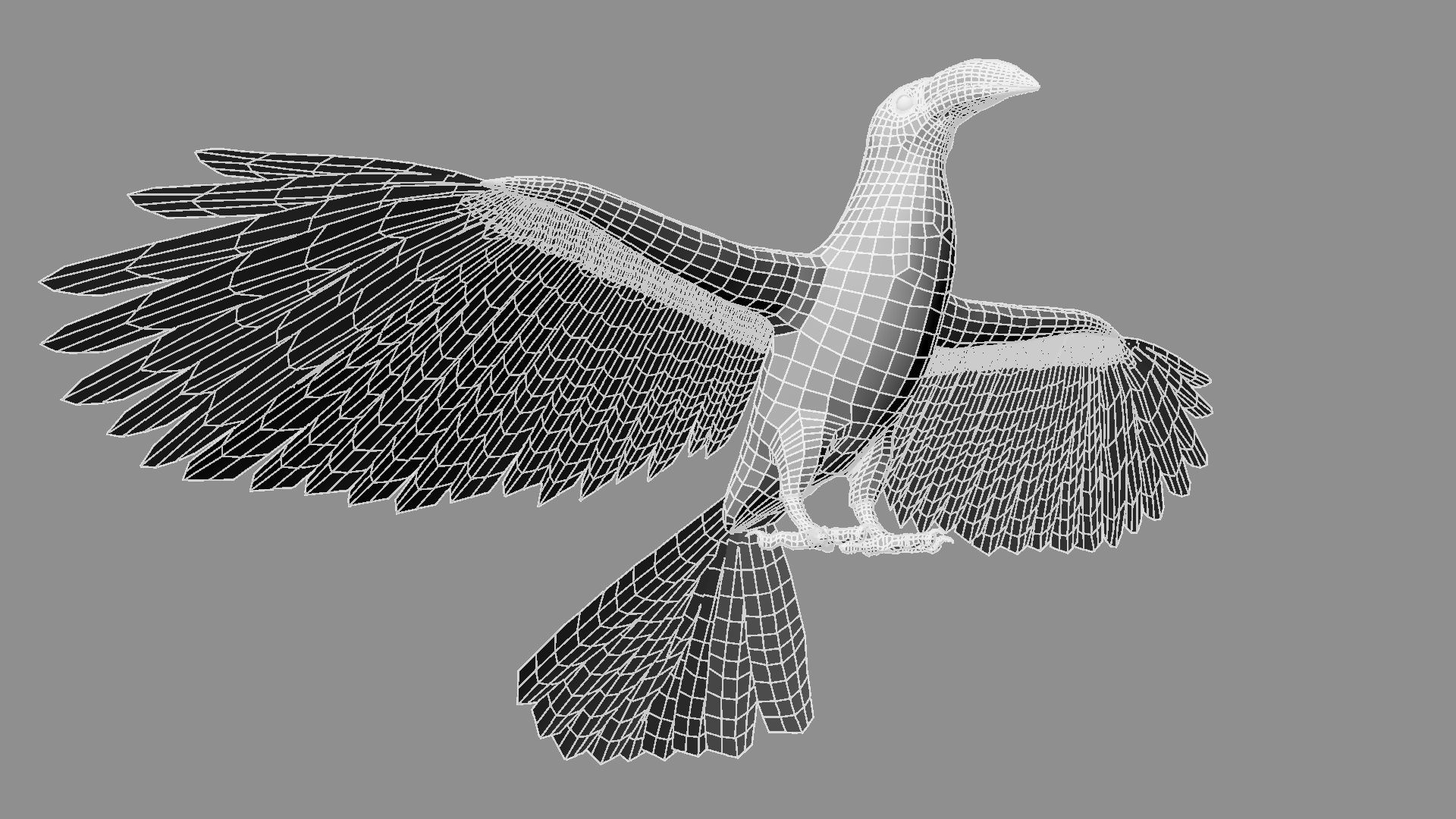 Red breasted toucan 3D model_35