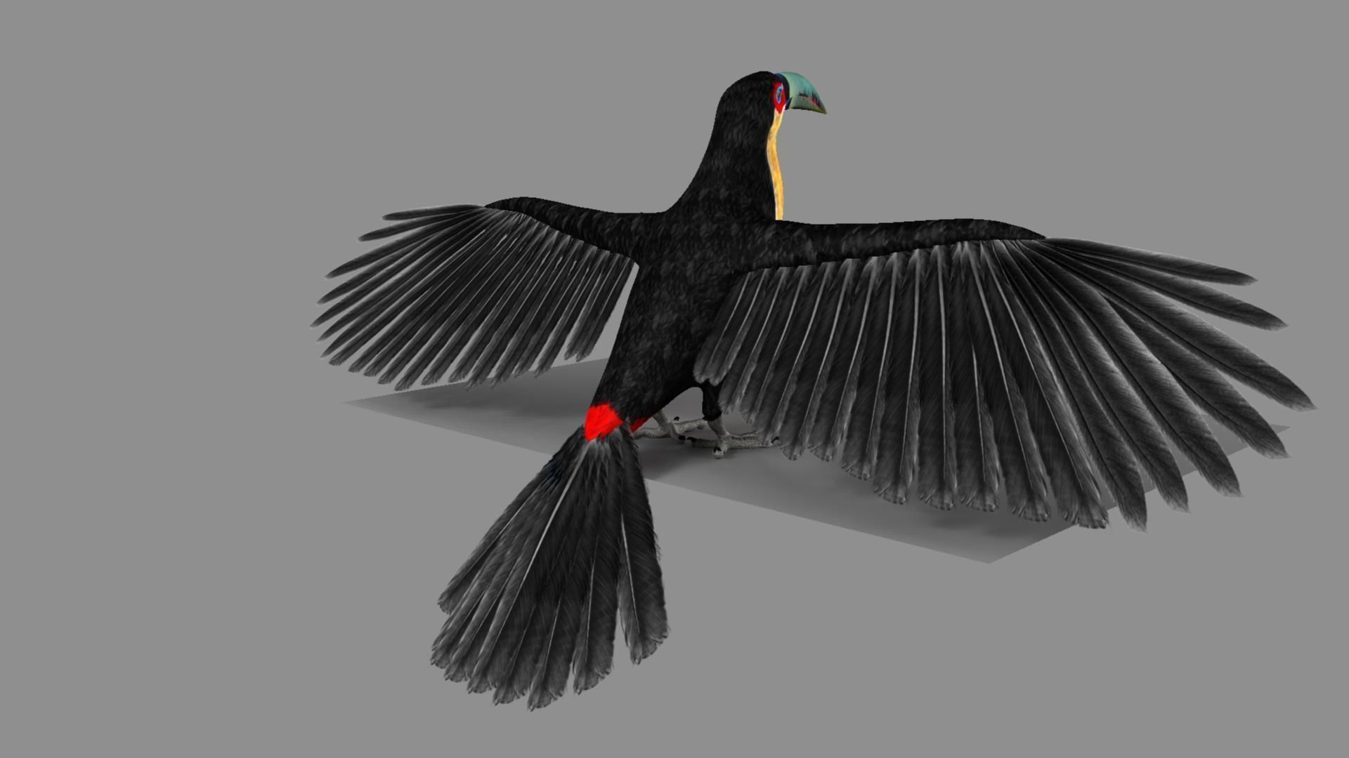 Red breasted toucan 3D model_23