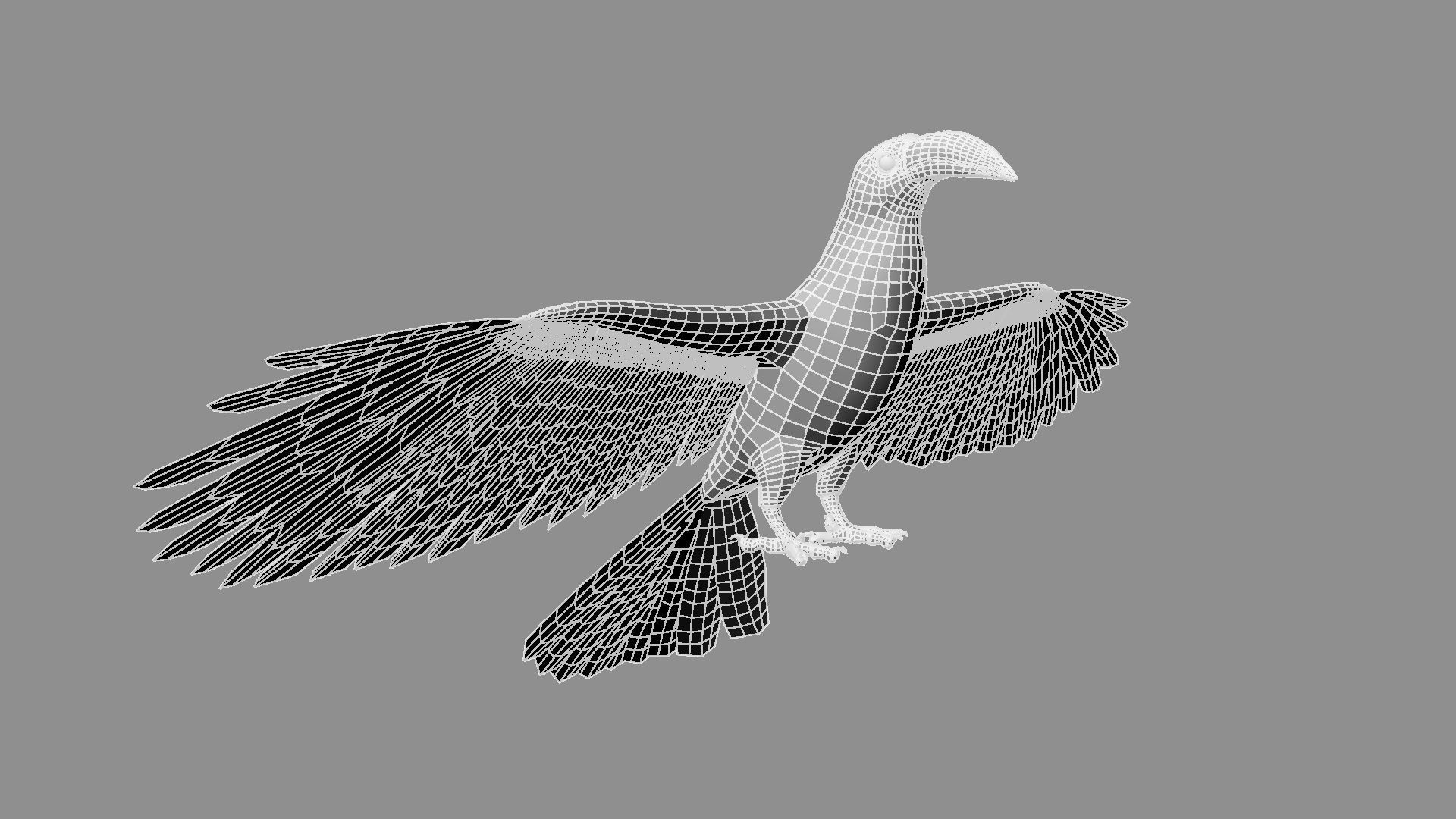 Red breasted toucan 3D model_22