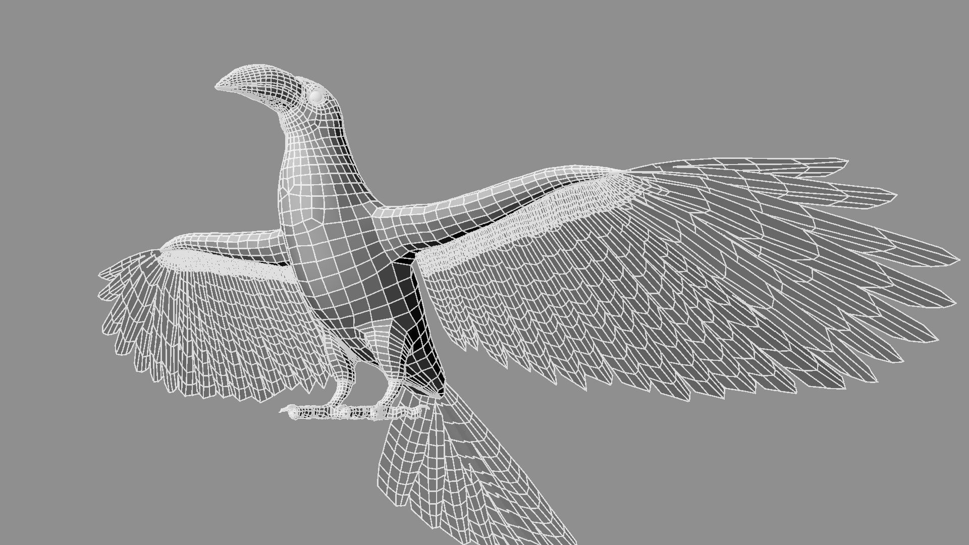 Red breasted toucan 3D model_36