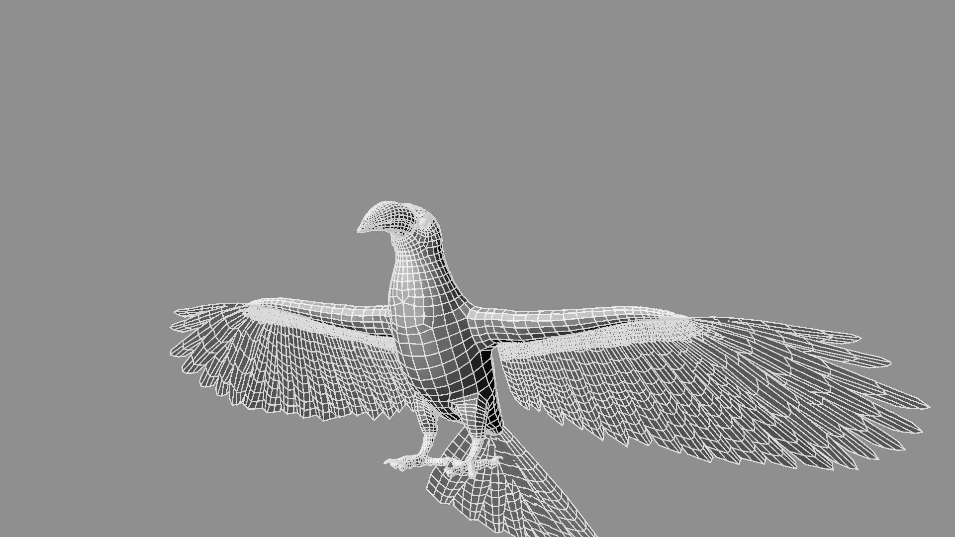 Red breasted toucan 3D model_19