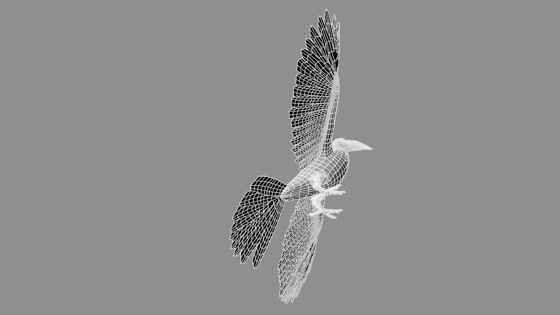 Red breasted toucan 3D model_43