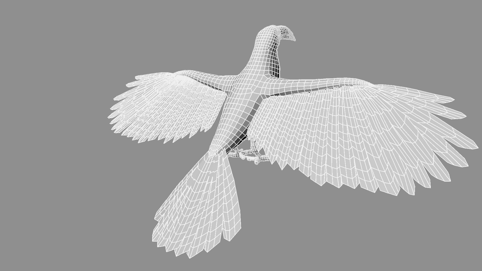 Red breasted toucan 3D model_21