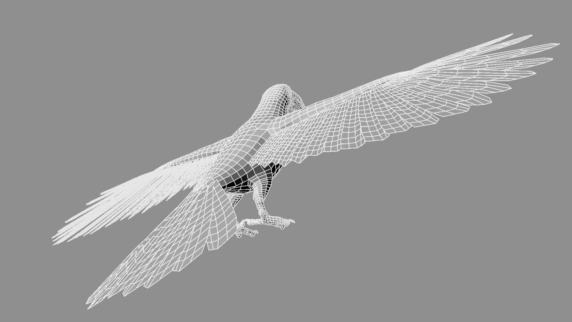 Red breasted toucan 3D model_33