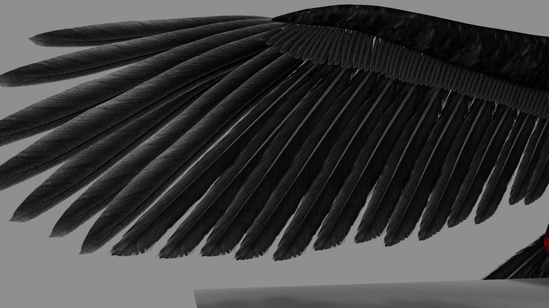 Red breasted toucan 3D model_48