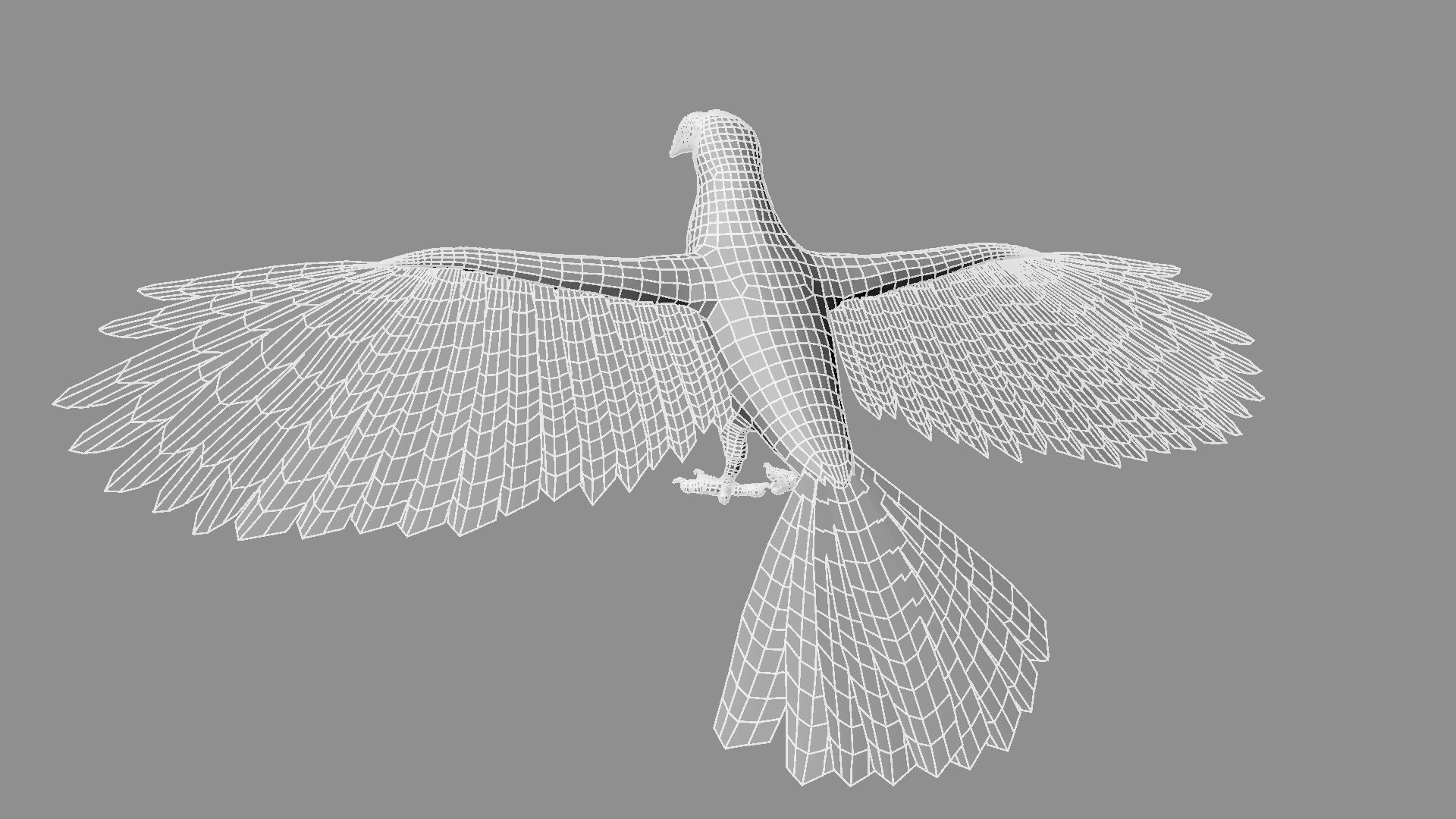 Red breasted toucan 3D model_20