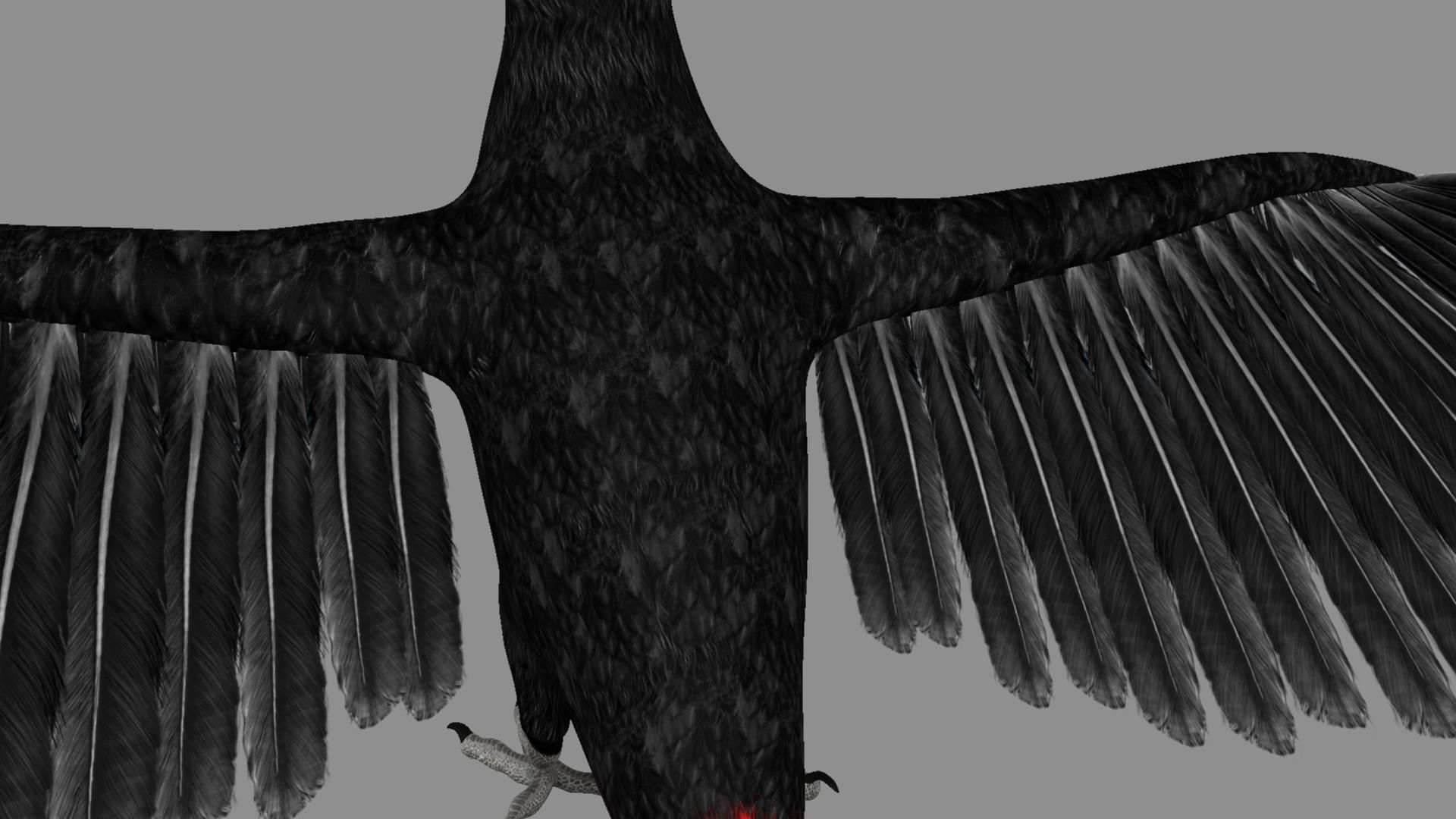 Red breasted toucan 3D model_50