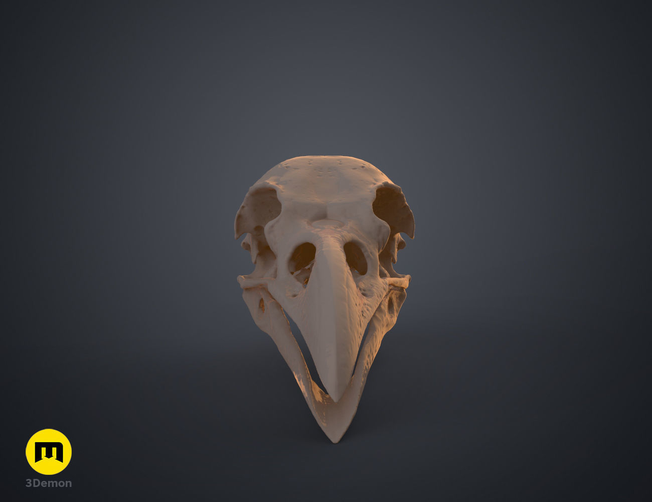 Realistic Animal Skull Collection 3D print model_6