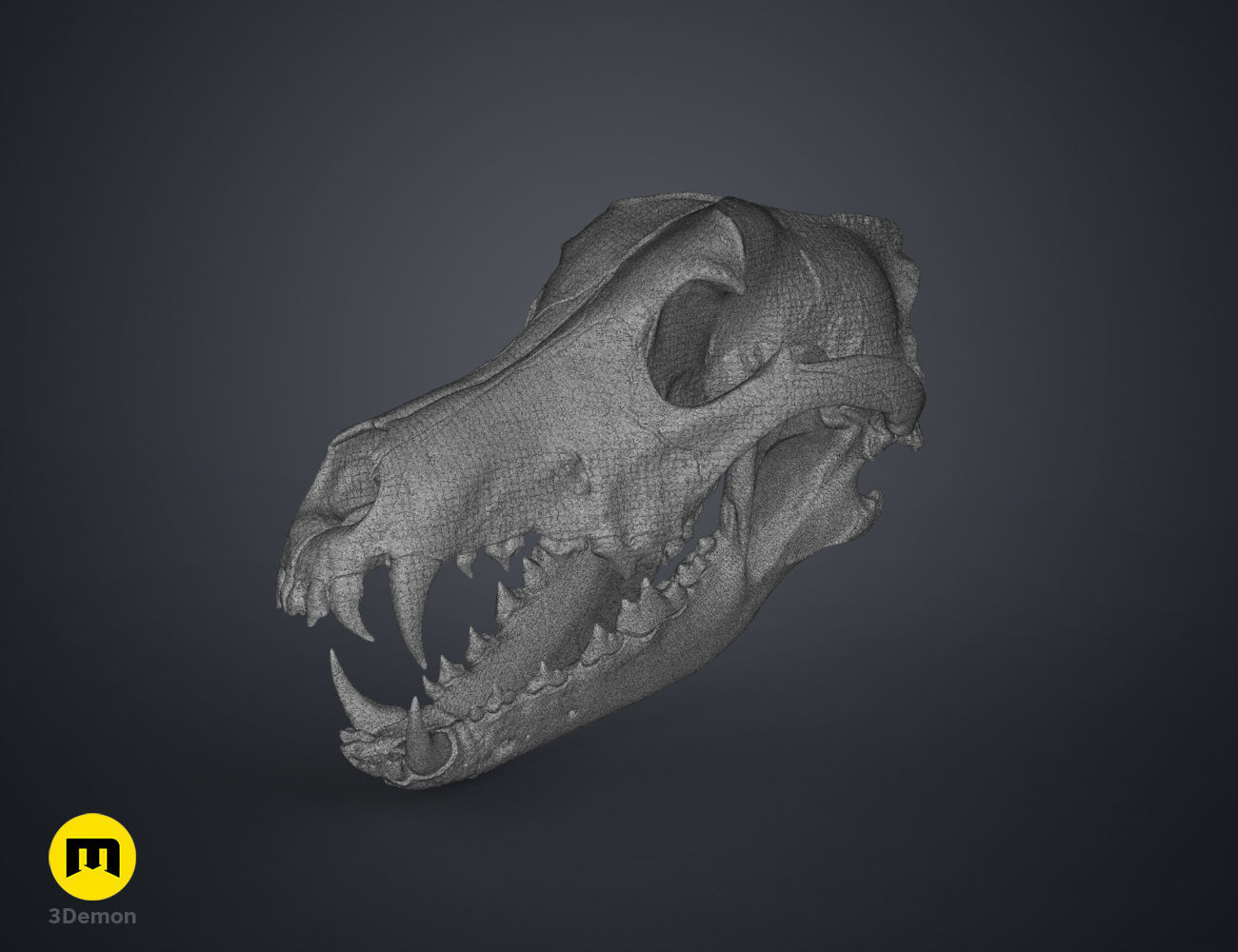 Realistic Animal Skull Collection 3D print model_16