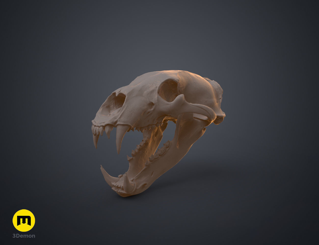 Realistic Animal Skull Collection 3D print model_4