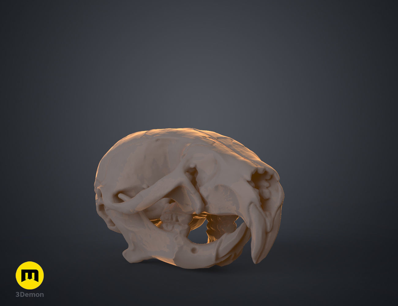 Realistic Animal Skull Collection 3D print model_8