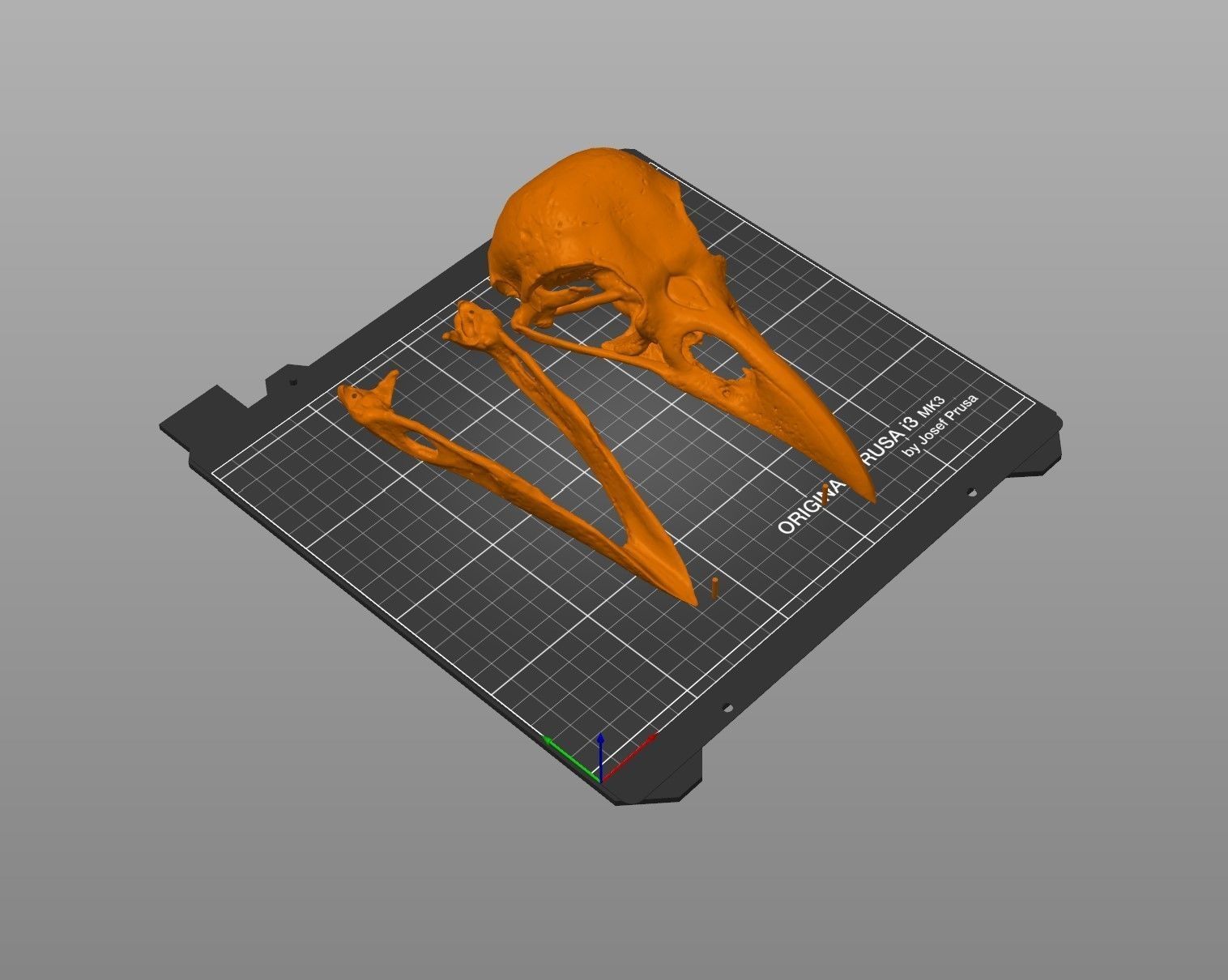 Realistic Animal Skull Collection 3D print model_13