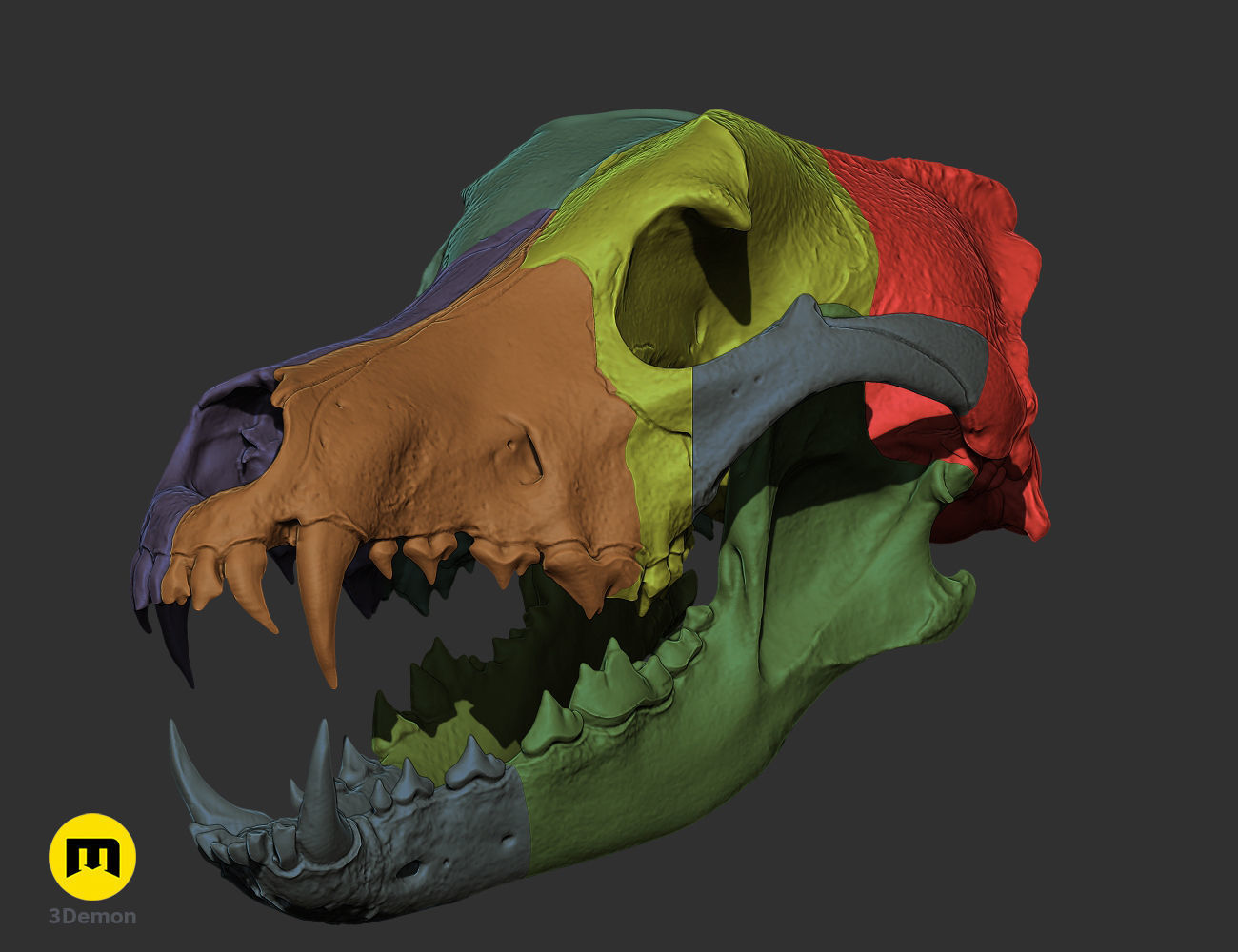 Realistic Animal Skull Collection 3D print model_3