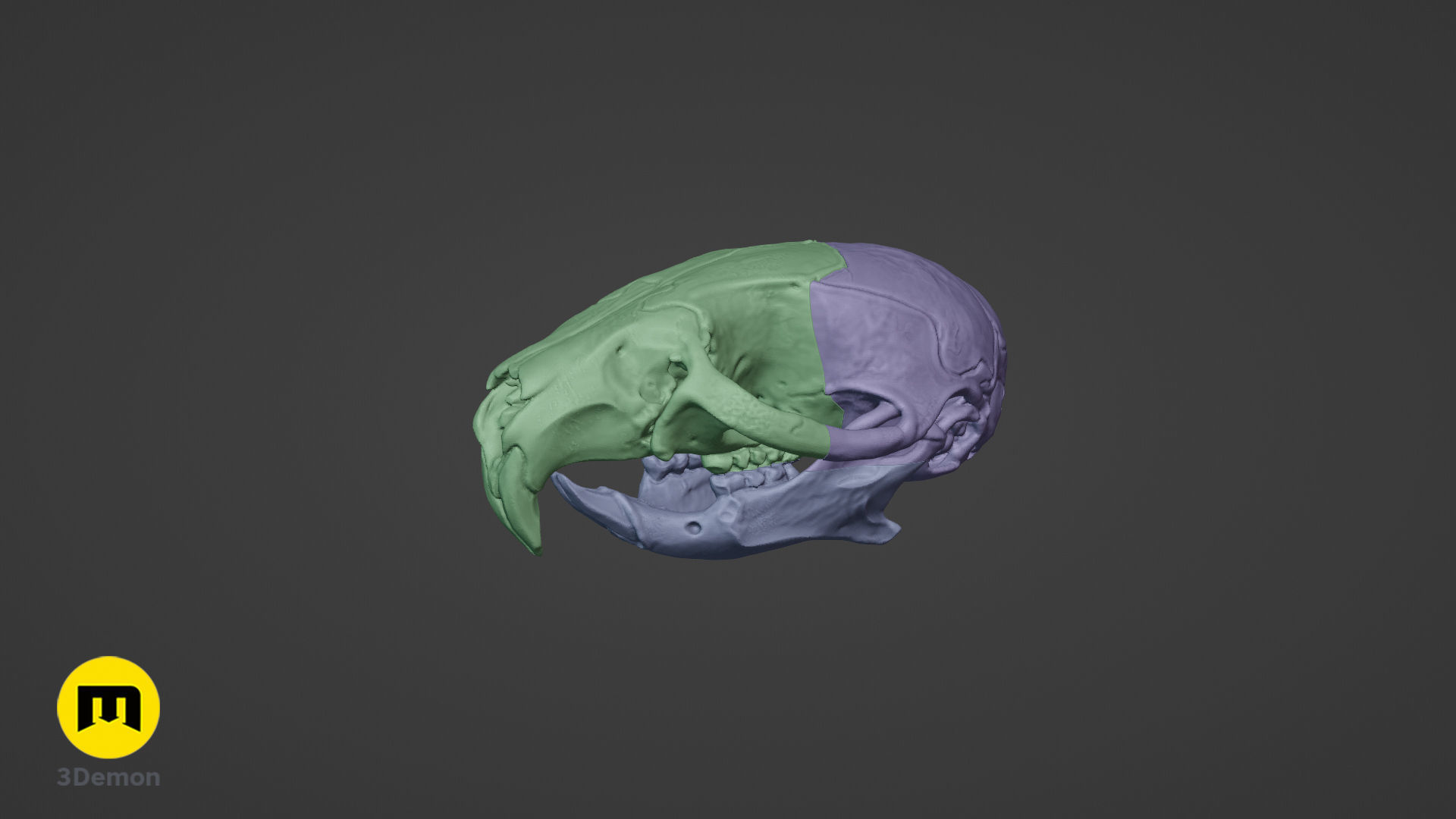 Realistic Animal Skull Collection 3D print model_9