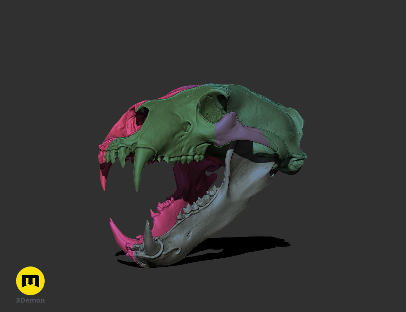 Realistic Animal Skull Collection 3D print model_5