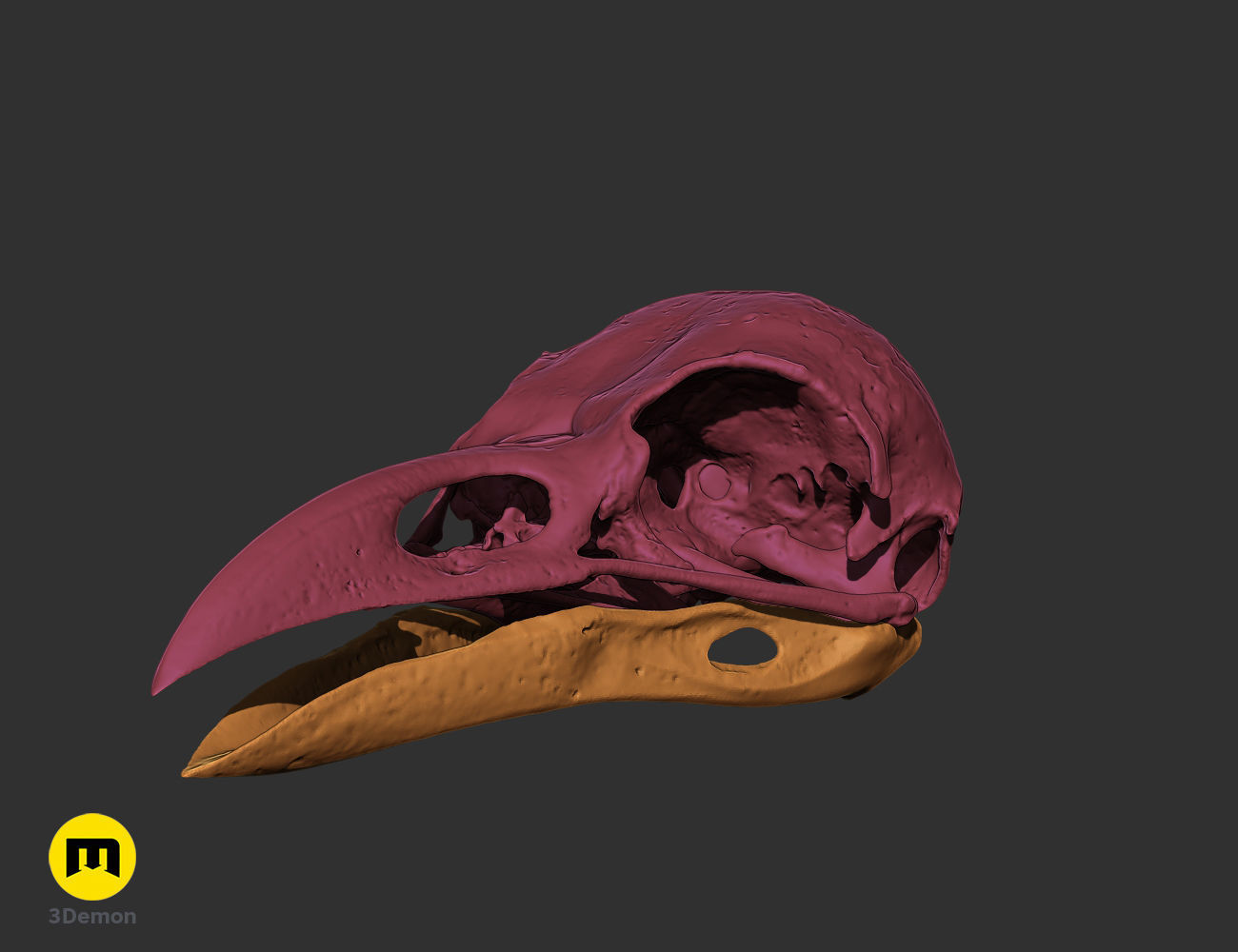 Realistic Animal Skull Collection 3D print model_7