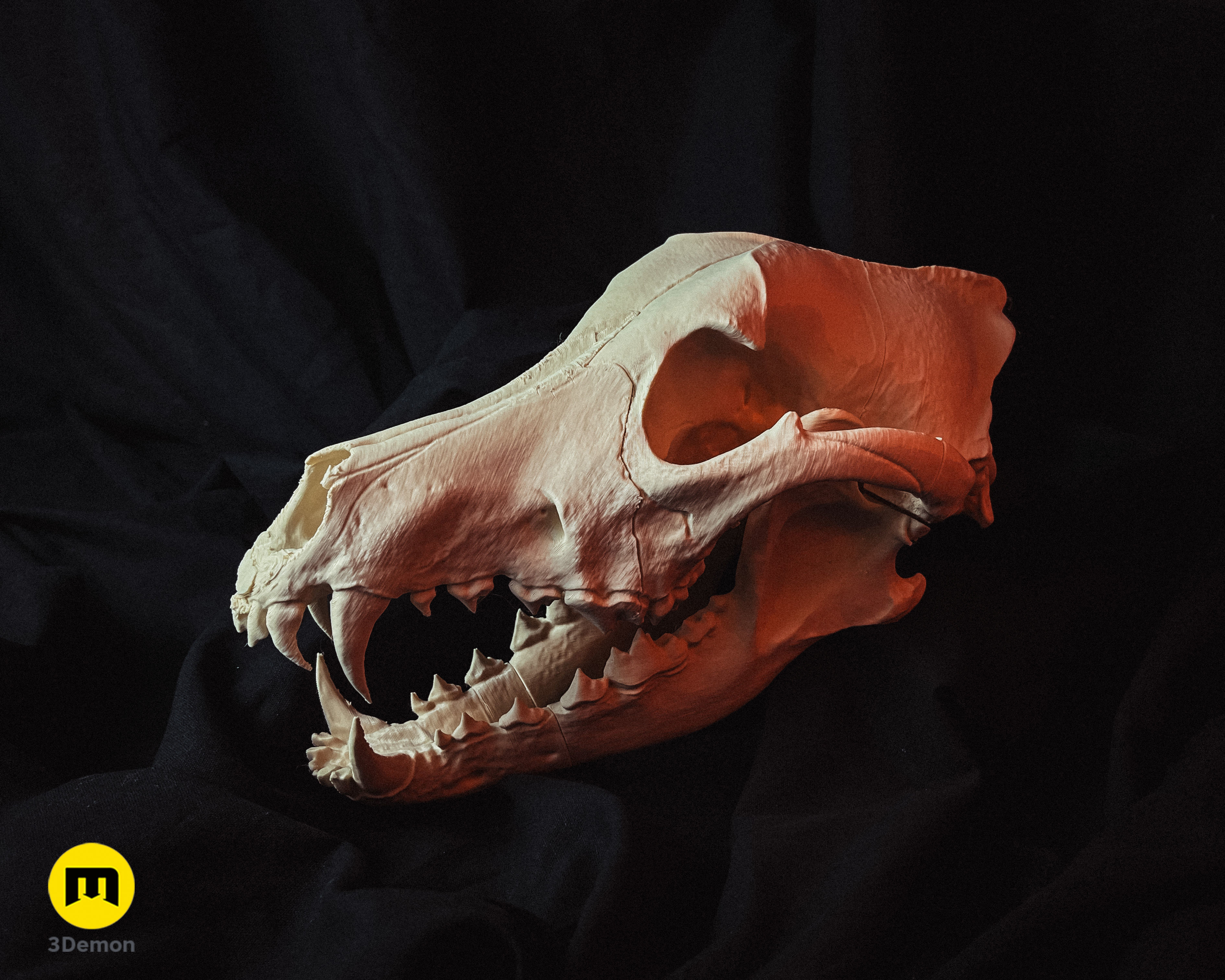 Realistic Animal Skull Collection 3D print model_1